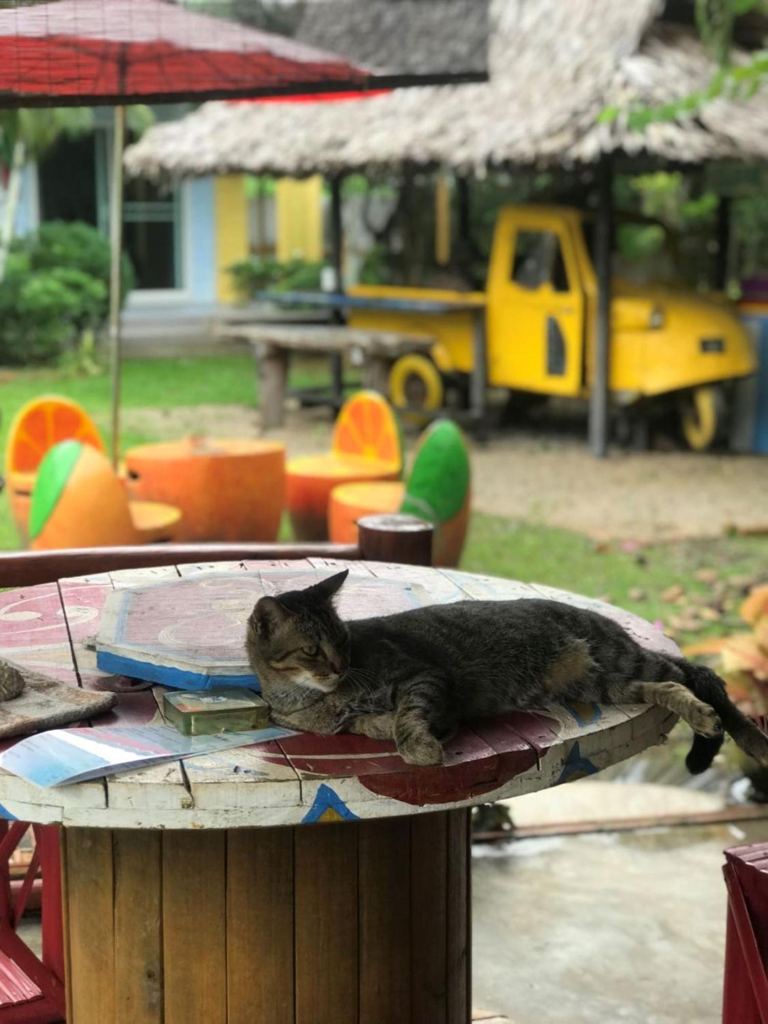 Chill Out Village อ่าวน้ำเมา ภายนอก รูปภาพ